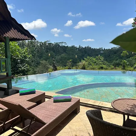 Tirta Asri Ubud Villa-3