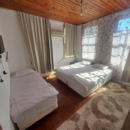 Antique House-2