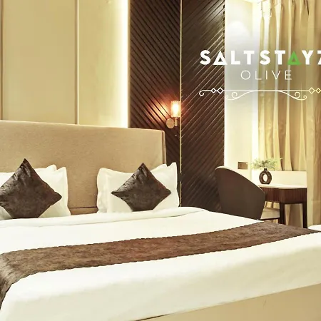 Saltstayz Select - Pitampura-2