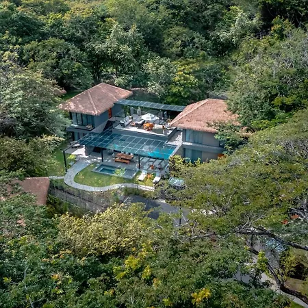 El Mangroove Papagayo, Autograph Collection-2
