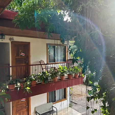 Hotel Javy-2