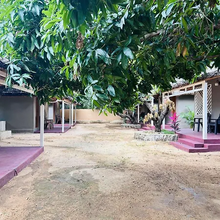 Hampi Village Jungle Resort-2