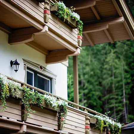 Pinetree Lodge Mayrhofen-3