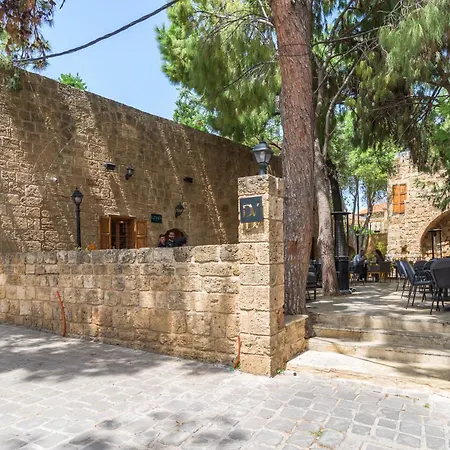 Lebanese Diaspora Village-2