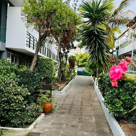 Monte Verde-2