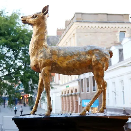 The Hind Hotel-3