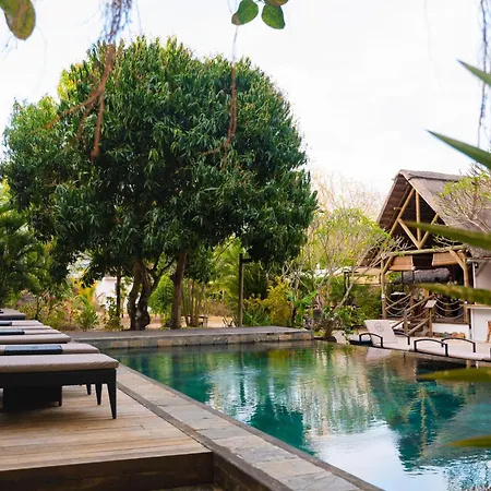 The Garden Lodge Pereybere - Piscine & Jardin-2