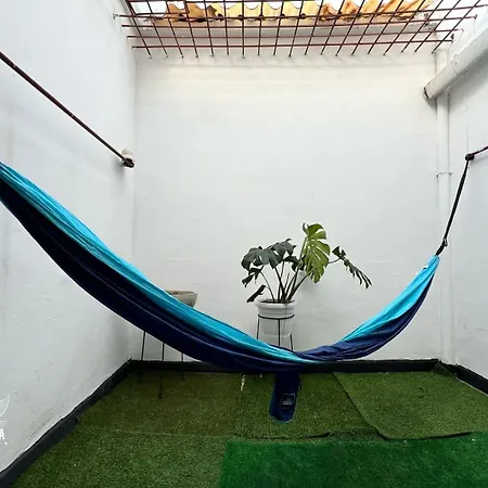 Casa Mandragora-3