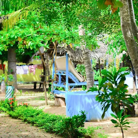 Arne'S Place-2
