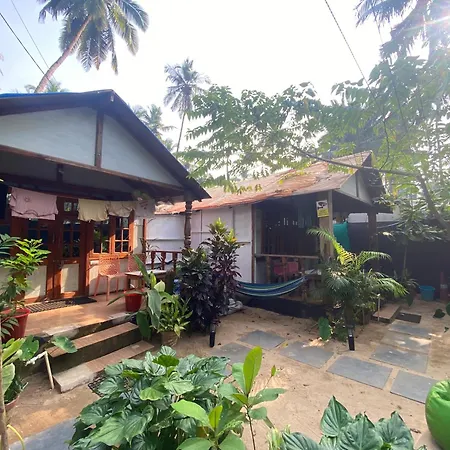 Tropical Bay-3