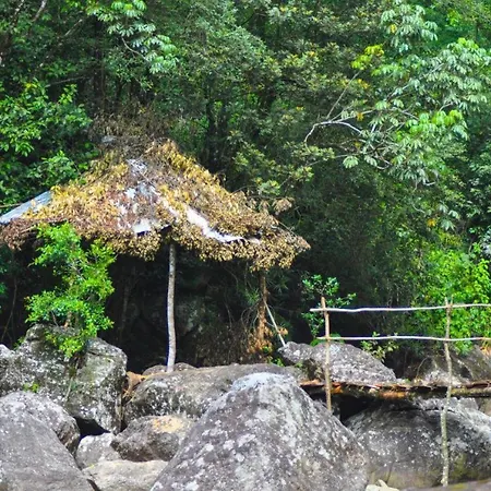 Jungle Tree House Rangala-2