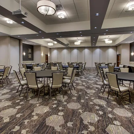 Drury Plaza Hotel Dallas Richardson-2