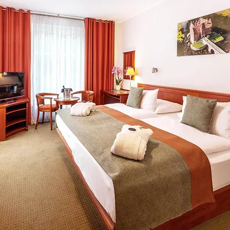 Spa&Wellness Hotel Olympia Marienbad-3