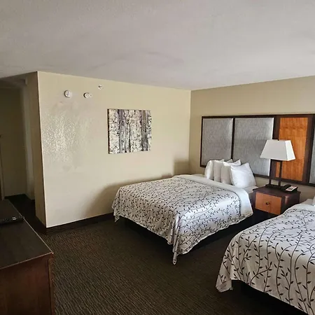 Americinn By Wyndham Birch Run - Frankenmuth-2