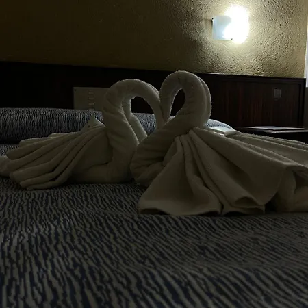 Hotel Flamingo-3
