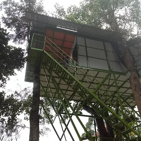 Freedom Resorts-3