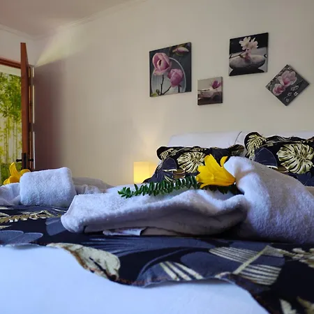 Hotel Gomero-2
