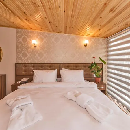 Sahil Boutique Hotel-2