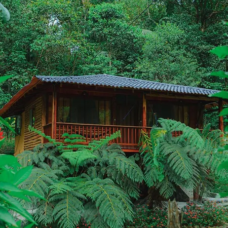 Finca Las Palmas Ecolodge-3