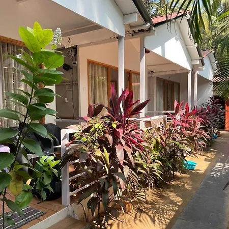 Royal Castle Resort Palolem, Canacona-2