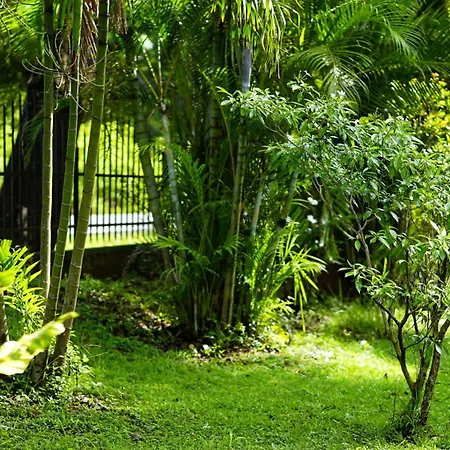 Lavish Layer Homestay-2