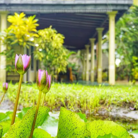 Lavish Layer Homestay-3
