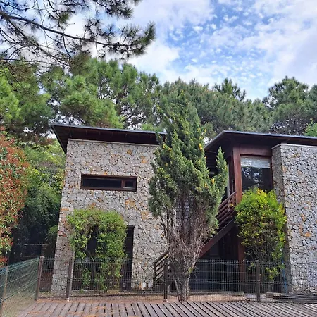 Cabañas La Mandrágora-2