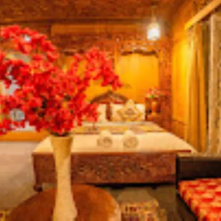 Young Bombay Premium Heritage Houseboat-3