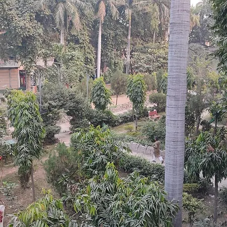 Taj Plaza Paying Guest House-3