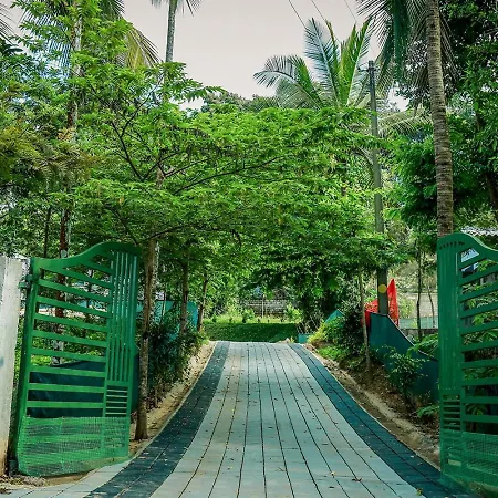 Green Aura-2