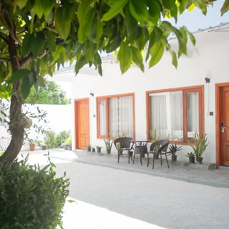 Avanti Surf & Stay-3