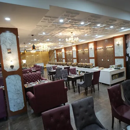 Hotel Seven Star-2