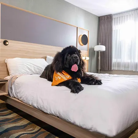Accent Inns Vancouver Airport-3
