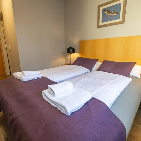 Hotel Kjarnalundur- Aurora Dream - Lodges And Rooms-3