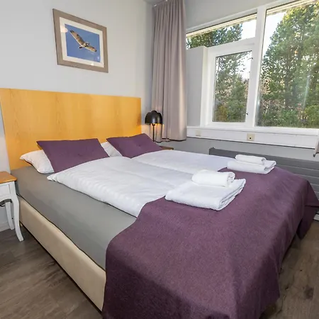 Hotel Kjarnalundur- Aurora Dream - Lodges And Rooms-2