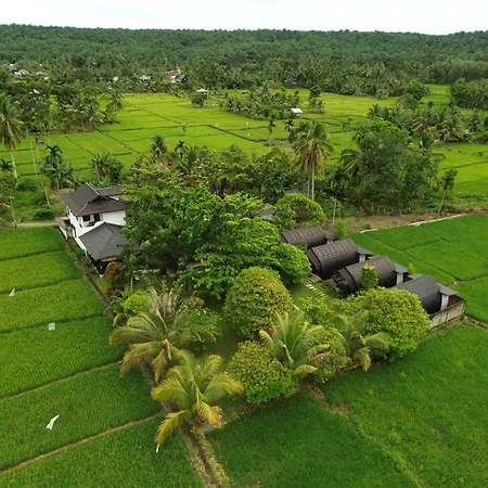 Gino'S Place - Guest House & Jungle Trekking-3