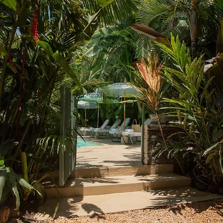 Maison Tropical-3