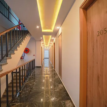 The Sanawar Heights I Kasauli I New Property-3