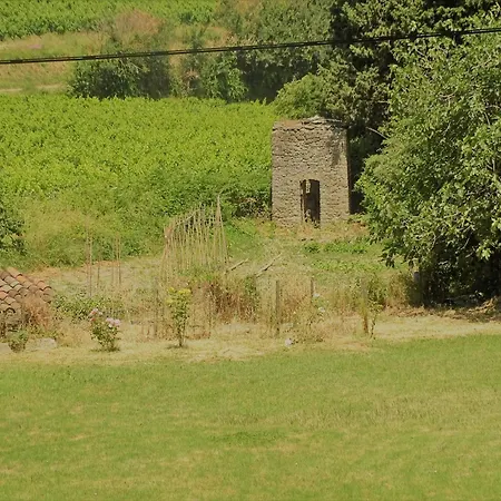 Domaine De La Petite Tour-2