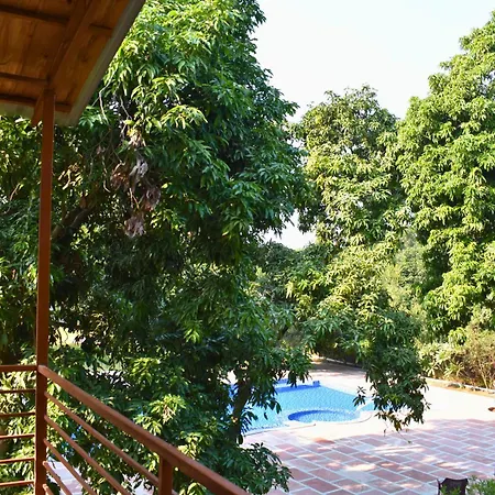 The Greenwich Resort-3