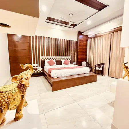 South Inn - Green Park South Delhi-2