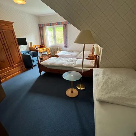 Hotel Zur Mühle-2