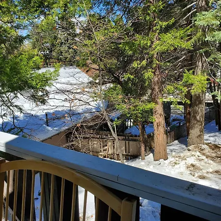 The Treetop Terrace At The Historic Arrowhead Lodge-2