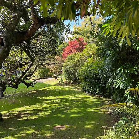 Moorswater Lodge Country Guest House With Wine Bar-3