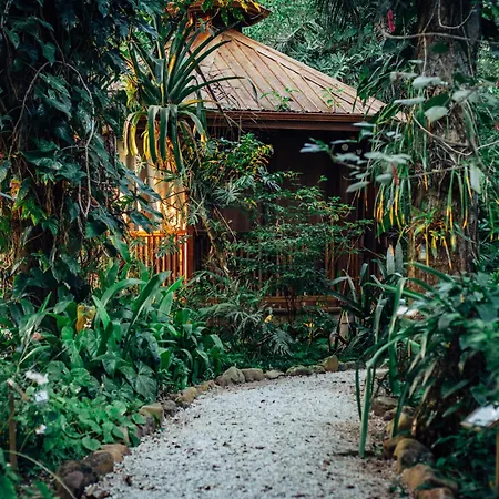 Ian Anderson Caves Branch Jungle Lodge-2