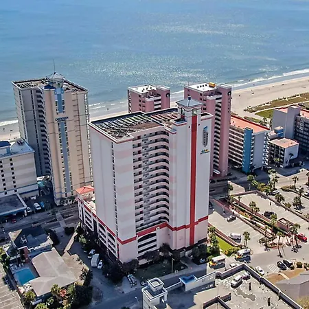 Carolina Grande-2