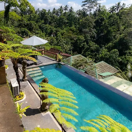 Doni House & Villas-3