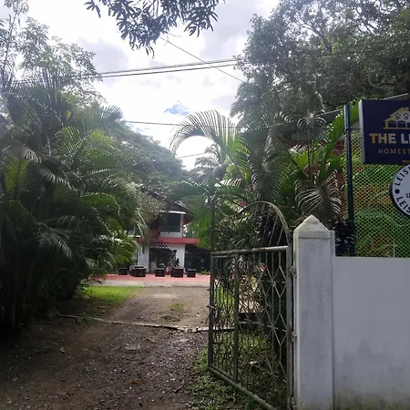 The Leisure Home Stay-3