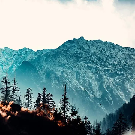 Hotel 17 Miles Stone, Manali By Shivaneel Hospitality-2