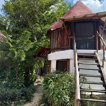 Tree House Tulum-2
